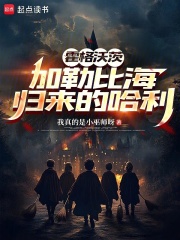 霍格沃茨：加勒比海归来的哈利