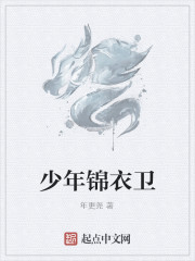 少年锦衣卫