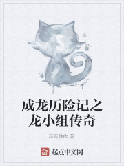 成龙历险记之龙小组传奇