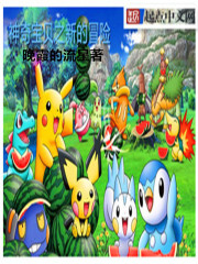 精灵宝可梦之金的冒险