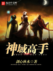 神域高手