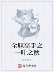 全职高手之一叶之秋