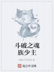 斗破之魂族少主