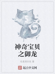 神奇宝贝之御龙