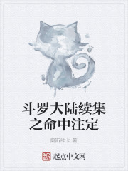 斗罗大陆续集之命中注定