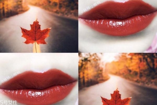 枫叶色口红哪款比较火 最好看的枫叶色口红推荐